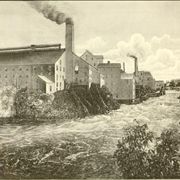 Forest Fibre Company in Berlin