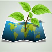 Picture - Paper Map with Leaves