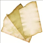 Scraps of Torn Paper