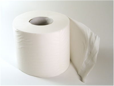 White Toilet Paper